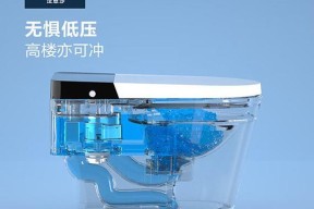 解决法恩莎马桶冲不干净的问题（探究马桶冲不干净的原因及解决方法）