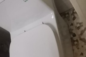 恒洁马桶水箱不进水解决步骤（教你如何修复恒洁马桶水箱不进水问题）