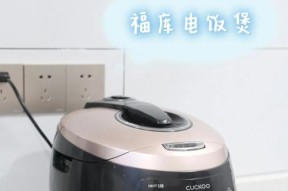 电饭煲指示灯闪烁的原因和解决方法（了解闪烁原因）