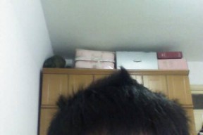 金属手机壳畸形怎么办？如何修复或更换？