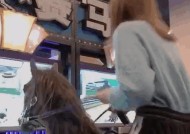 游戏机蹦蹦的声音特点是什么？如何描述这种声音？