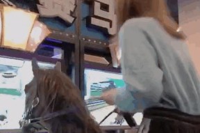游戏机蹦蹦的声音特点是什么？如何描述这种声音？
