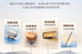 家用电器热水器清洗方法（轻松学习家用电器热水器的清洗技巧）