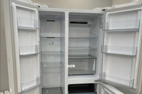冰箱出水问题的原因及解决方法（有效控制冰箱出水）