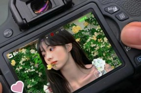 佳能相机显白参数的调整方法是什么？调整过程中可能会遇到哪些问题？