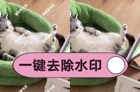 苹果手机如何给手机加水印？加水印失败怎么办？