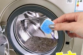 河北洗衣机清洗剂的价格分析（了解河北洗衣机清洗剂市场价格及优质选择）