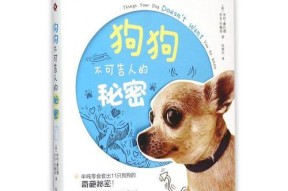 喊麦广告语音制作软件推荐（打造独特广告声音）