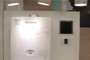 林内壁挂炉电源故障的原因与解决方案（探寻林内壁挂炉电源故障的根源）