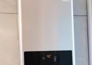煤气热水器不出水的常见问题及解决方法（解决煤气热水器不出水问题的关键步骤与技巧）