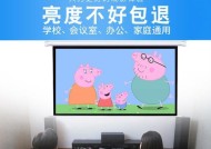 投影仪灯泡不亮的故障处理方法（解决投影仪灯泡无电情况）