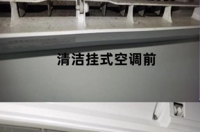 挂式空调清洗全指南（学会正确清洗挂式空调）