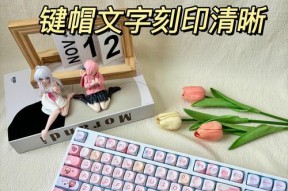 键盘下盖有什么用？功能和维护建议是什么？