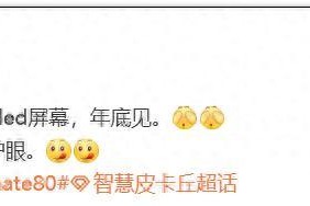 华为Mate 80系列将带来定制OLED显示技术，这项技术具备三大优势