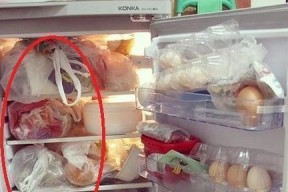 冰柜塑料的环保处理方法（保护地球）