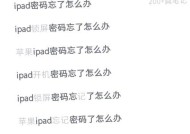 我忘记了苹果iPad的ID和密码怎么办（教你如何找回丢失的ID和密码）