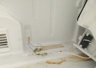 如何处理冰箱中散发出的咸鱼味（除味小妙招让您的冰箱清新如初）