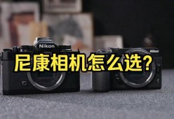 尼康老相机添加水印的方法是什么？如何自定义水印样式？