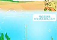 钓鱼摄像头浮标调整技巧是什么？