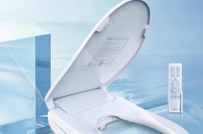 马桶盖型号详解——选择最适合你家的马桶盖（不同型号马桶盖对比及优缺点解析）
