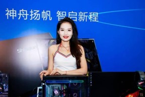 神舟z8笔记本超频内存的方法是什么？风险大吗？