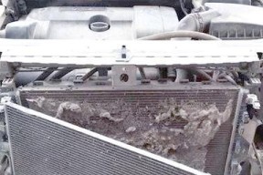 水箱散热器清洗步骤是什么？如何确保清洗效果？