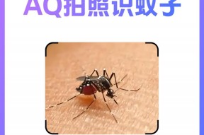 AQ 推出拍照识蚊子功能