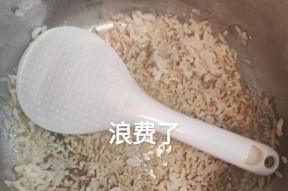 电饭煲烧坏原因分析（探究电饭煲烧坏的多种可能性）