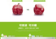 长方形冰箱清洗指南（轻松掌握冰箱清洗技巧）
