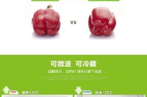 长方形冰箱清洗指南（轻松掌握冰箱清洗技巧）