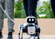 维他动力Vbot：当遥控器被丢掉，才是机器狗「有生命感」的第一步？