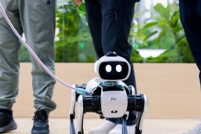 维他动力Vbot：当遥控器被丢掉，才是机器狗「有生命感」的第一步？