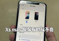 显示器屏幕不亮的原因及解决方法（探索显示器屏幕无法亮起的问题并提供解决方案）