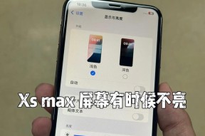 显示器屏幕不亮的原因及解决方法（探索显示器屏幕无法亮起的问题并提供解决方案）