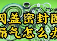 电饭煲密封条漏气怎么办（解决电饭煲密封条漏气的方法和注意事项）