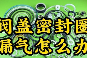 电饭煲密封条漏气怎么办（解决电饭煲密封条漏气的方法和注意事项）