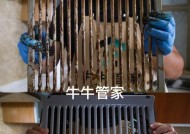 如何正确清洗油烟机吊灯（简便高效的清洁方法，让油烟机吊灯光彩照人）