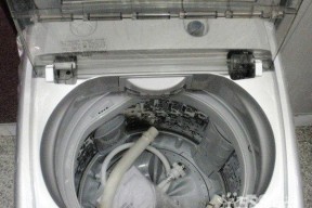 如何维修海尔洗衣机无法排净的问题（排水问题解决方案及维修技巧）