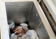 冰箱发烫不制冷，怎么办（快速解决冰箱发烫不制冷的问题）