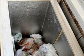 冰箱发烫不制冷，怎么办（快速解决冰箱发烫不制冷的问题）