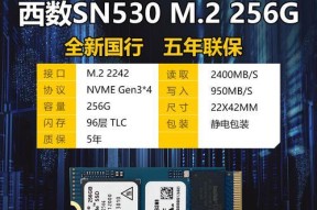以512G固态硬盘最佳分区方案优化存储空间（提高存储性能的关键）
