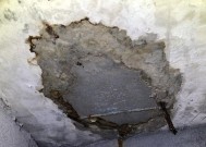 冰柜漏水口淌水的原因及解决方法（揭秘冰柜漏水口淌水的原因）