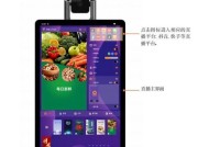 电脑如何连接平板进行直播？操作步骤是怎样的？