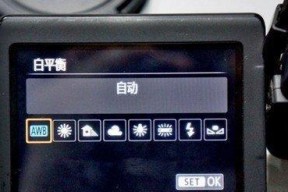 掌握白平衡模式的设置技巧（拍摄更真实）