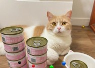 胖猫使用的手机软件是什么？这些软件有什么特点？
