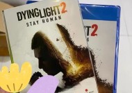 PS4玩游戏时花屏是什么原因？如何预防和解决？