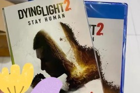 PS4玩游戏时花屏是什么原因？如何预防和解决？