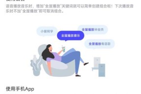 小爱音箱歌曲播放限制原因是什么？如何解决？
