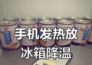 冰箱快速降温的实用方法（以节省时间的为导向）