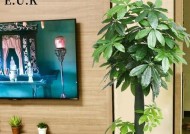 电脑桌排队摆放的图片展示效果如何？摆放技巧有哪些？